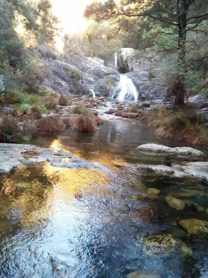 Viana Do Castelo - Amonde Village Casa P - Conforto Qualidade Natureza ภายนอก รูปภาพ