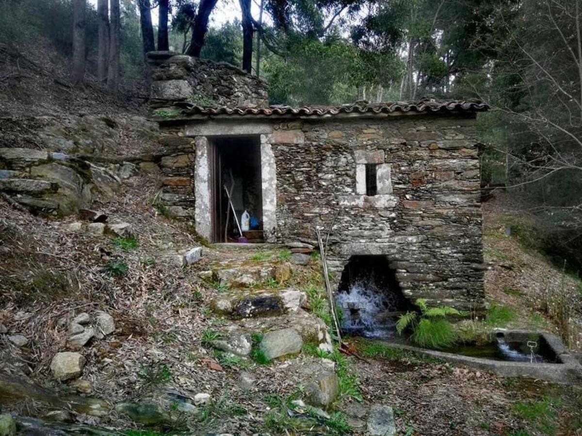 Viana Do Castelo - Amonde Village Casa P - Conforto Qualidade Natureza ภายนอก รูปภาพ